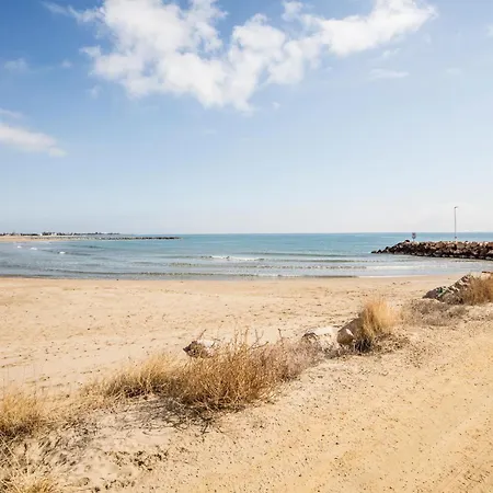 Pet Friendly In With Swimming Pool Apartment